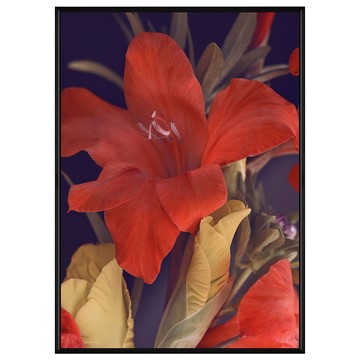 菠蘿選畫所 紅百合盛開畫作 40 x 30cm 畫框 居家裝飾藝術品  黑色