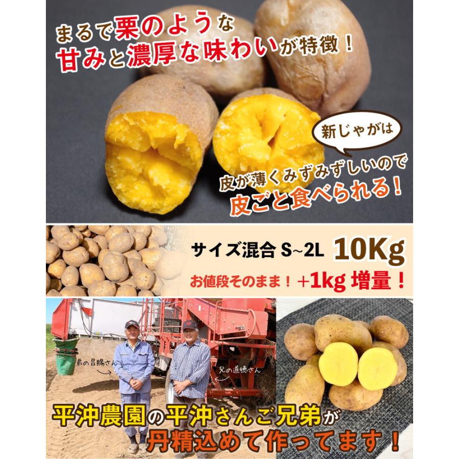 インカのめざめ 新じゃが 11kg（10kg 1kg増量）S〜2Lサイズ混合  北海道 千歳産 じゃがいも ジャガイモ 送料無料 訳あり