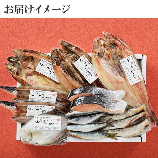 北海道 干物 セット 詰め合わせ 9点 内祝い お返し 魚 海鮮 ギフト ひもの ホッケ 秋鮭 コマイ 鰯 魚の干物