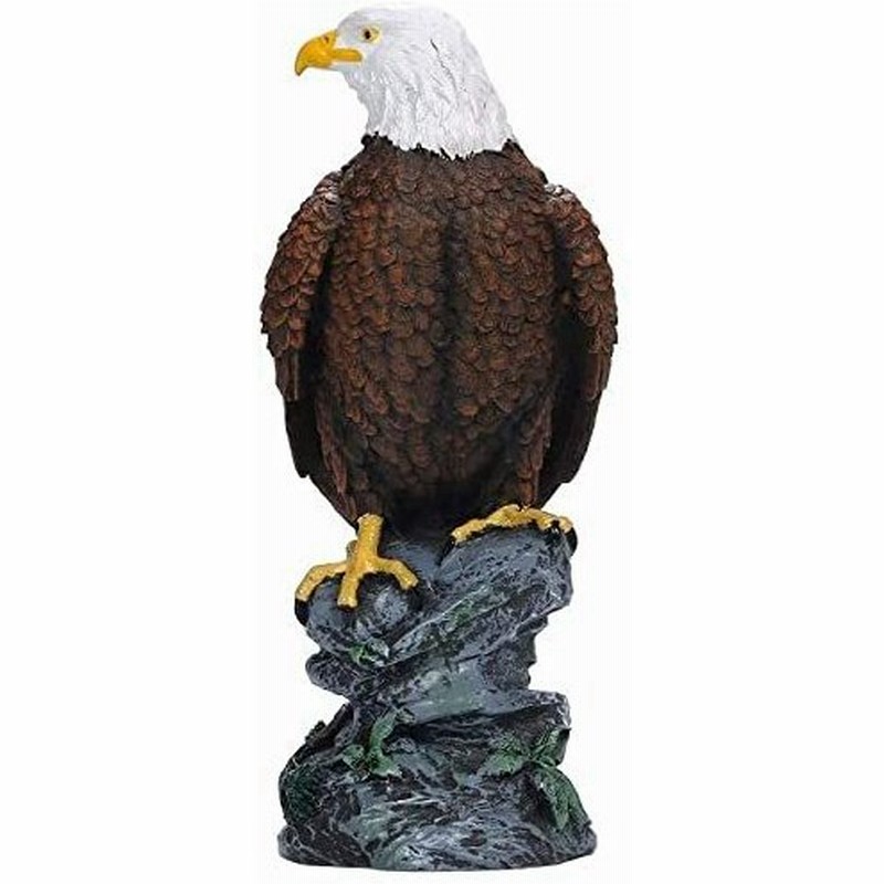 Inzaccaz 猛禽類最強 鷲 ワシ 鷹 イーグル 防鳥 害鳥 庭の装飾 置物 オブジェ カラス 野鳥 ハト スズメ 鳥よけ 鳥 とり 対策 カラー 通販 Lineポイント最大0 5 Get Lineショッピング