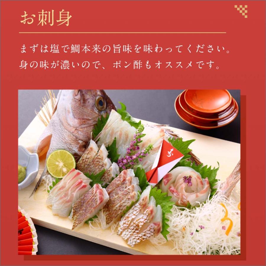 ＜送料無料＞正月用祝い鯛　１kg〜1.2kg　塩焼も◎刺身用