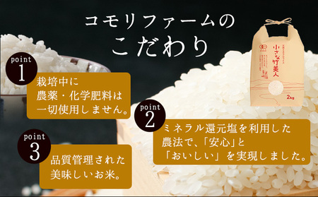 令和5年産 小さな竹美人 精米 2kg(2kg×1袋) 白米 株式会社コモリファーム《お申込み月の翌月から出荷開始》