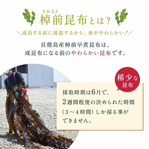 昆布専門問屋 源蔵屋 貝殻島産早煮棹前 (さおまえ) 昆布 200g