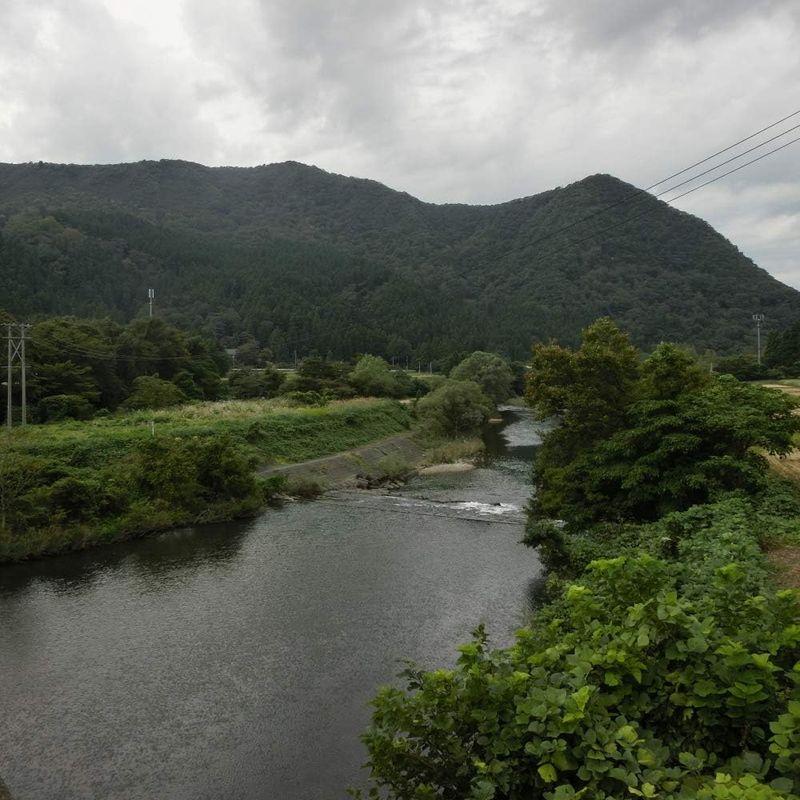 新潟米コシヒカリ 白米 １０キロ 新潟産こしひかり 産地直送 ご家庭で、お弁当にも 贈答・ギフトにも