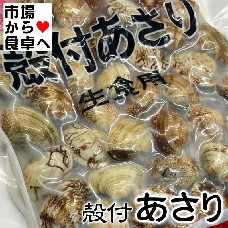 あさり （冷凍）殻付 500g（冷凍便）