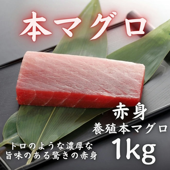 本マグロ 赤身 1kg