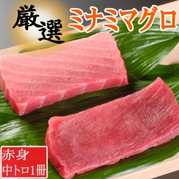 厳選ミナミマグロ赤身、中トロ食べくらべ