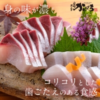 宮崎産 新海屋 鰤屋金太郎 刺身３種セット 真鯛 ぶり カンパチ 各種600g 計1800g　冷蔵　D073_1