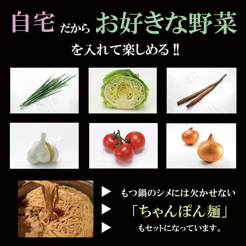 ギフト 博多もつ鍋 6人前 ×1箱 彩食工房 福岡 もつ鍋 セット 人気 おすすめ モツ鍋