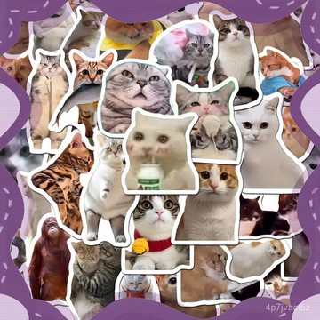 本土出貨🏆200張包漿貓meme子貼紙新款網紅ins爆款搞笑貓咪錶情包手賬素材貼 90AC