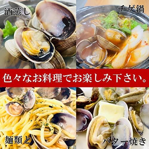 kakiya 北海道産 活あさり 1kg 大粒 1個20〜30g 国産 あさり 天然あさり 活あさり 浅利 味噌汁 焼きアサリ 酒蒸し ボンゴレ