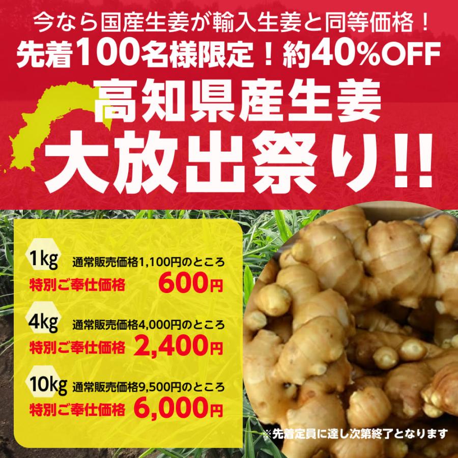 食用 高知県産近江生姜（白）10kg