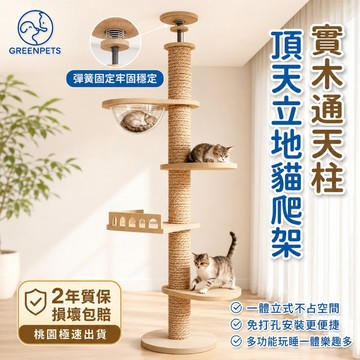 【GreenPets】貓爬架 頂天立地貓跳臺 貓跳台 貓跳臺 通天柱 木質貓跳臺 貓咪跳臺 原木貓跳臺 大型貓跳臺