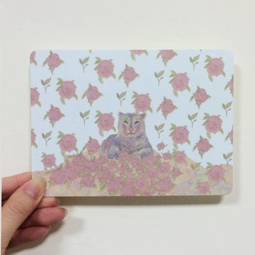 下起了花一般的雨 Snowleopard in the flower rain