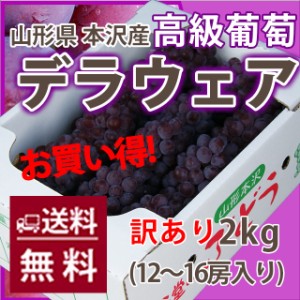 ブドウ デラウェア 葡萄 お中元 ぶどう ご家庭用 山形市 本沢産　葡萄 ハウスデラウェア 訳あり ２kg （ 12 ～ 16房 入り ） 農産物 送料