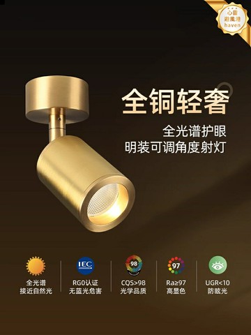 【智能調光】LED筒燈 明裝射燈 背景牆燈 客廳燈 智能燈 可調角度 全銅輕奢美式 家用無主燈設計