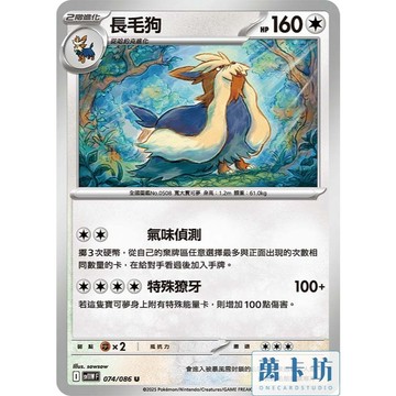 萬卡坊 / 寶可夢 PTCG 中文版 SV11W 074 長毛狗 普卡