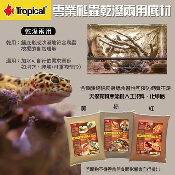 P老闆水族~德比克 Tropical 專業爬蟲乾溼兩用底材 黃 紅 棕 爬蟲墊材 守宮底材 蜥蜴 爬蟲缸 造景 生態缸