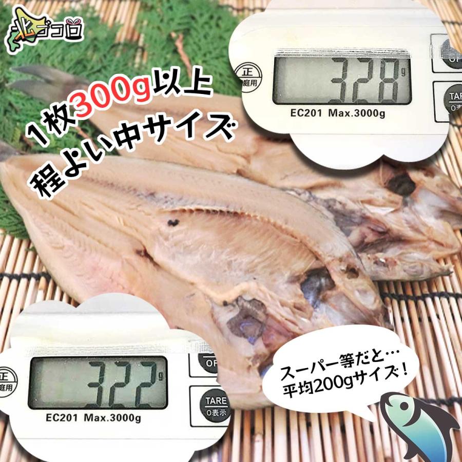 真ホッケ開き 1枚300g以上6枚セット 真空パック 冷凍 一夜干し