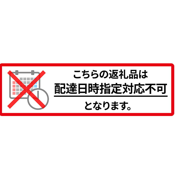 先行予約 2024年9月発送 北海道 仁木町産 いちご「 天使のいちご (登録商標)AE(エンジェルエイト)」(M30粒) 今野農園