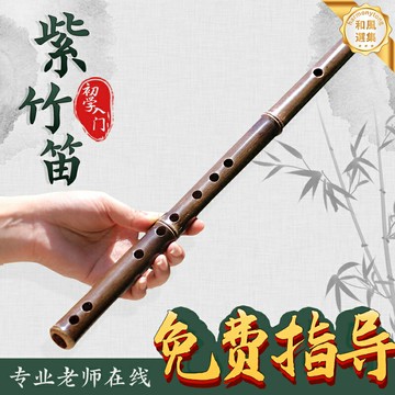 【零基礎入門】紫竹笛子 短笛 竹笛 笛子 樂器 無膜笛 一節笛 演奏笛 紫竹材質 音色清亮 中小學音樂課 成人初學練習