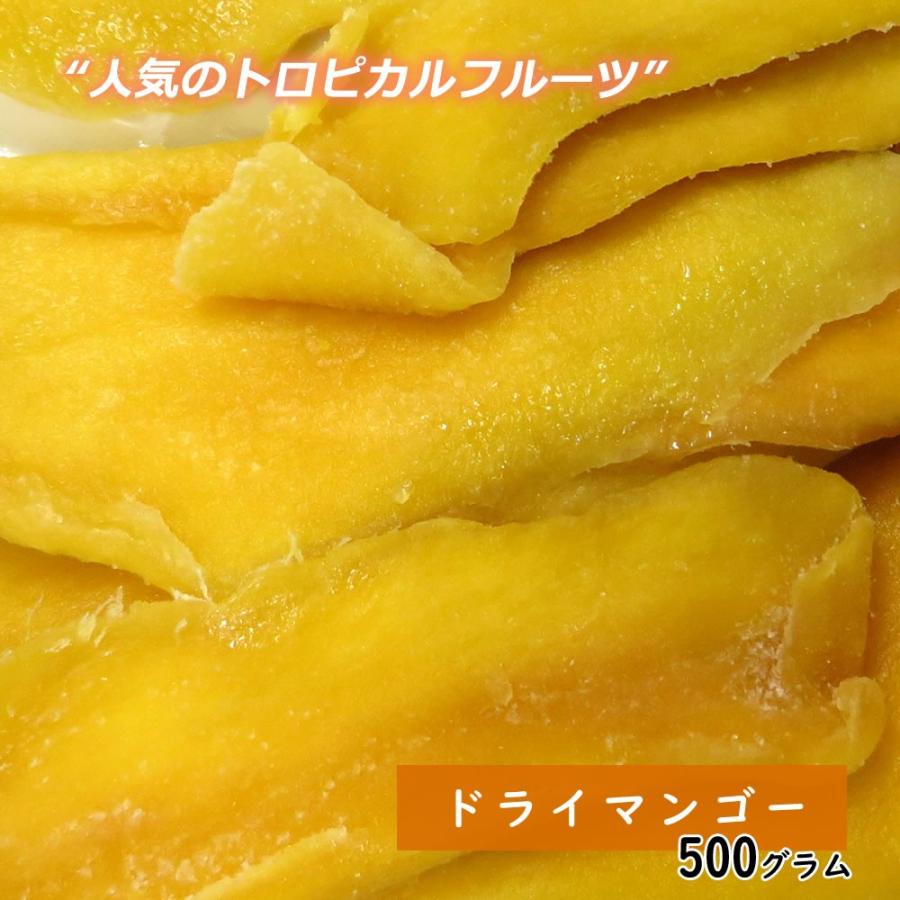 大地の生菓 ドライマンゴー 500g ドライフルーツ 送料無料 手土産 フルーツティー プチギフト 非常食 保存食 クリスマス ギフト プレゼント 2023