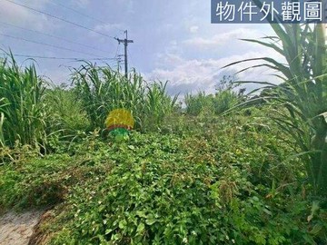 東勢都計綠翡丨極致低總價圓夢地丨大隱繁華水電私苑｜台中市東勢區民誠段