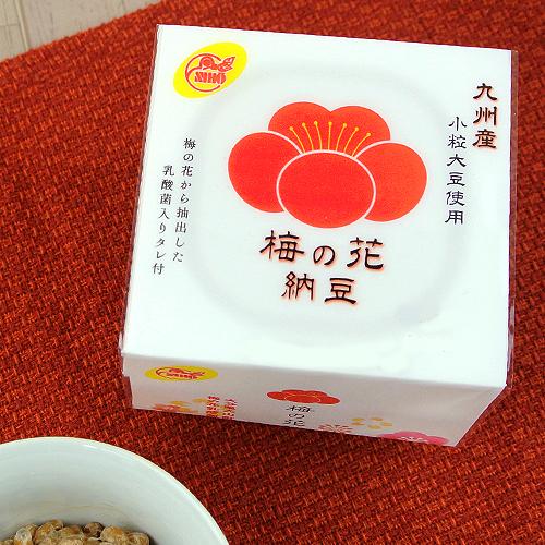 国産 梅の花納豆(40ｇ×3) 12個セット 二豊フーズ 梅の花由来の乳酸菌 × 九州産小粒大豆 送料無料