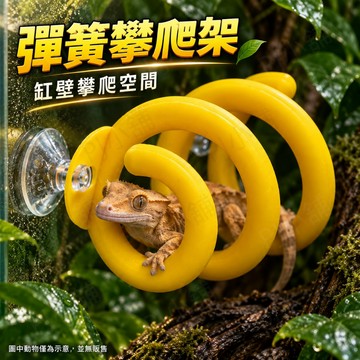 PJ小舖｜彈簧攀爬架 樹棲 守宮 蛇類 吸盤 爬缸造景 螺旋攀爬 彈簧造型