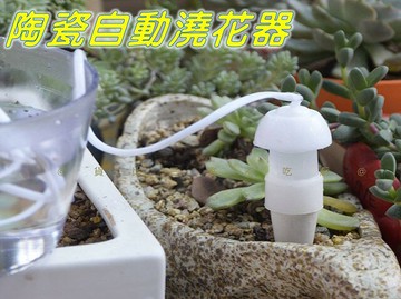 陶瓷自動澆花器 自動滴水器 自動澆花 家用滴灌澆花器 灑水 自動澆水器 盆栽滲水器 點滴式滴灌器 點滴式懶人澆水 花卉