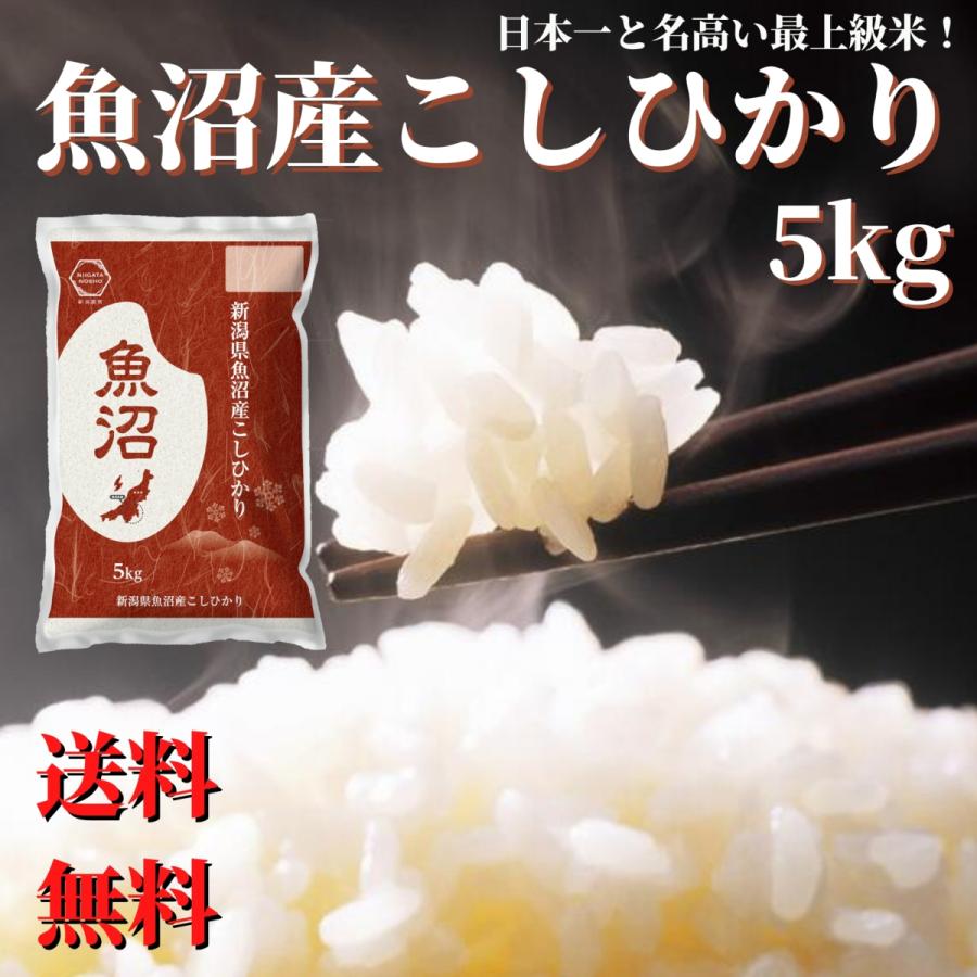 新米 令和５年産 米 お米 5kg 白米 送料無料 魚沼産コシヒカリ 5kg 精米 ギフト プレゼント