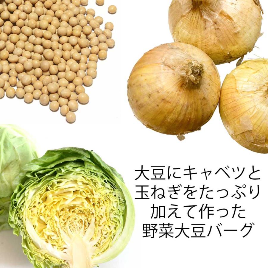 完熟トマトソース野菜大豆ボール　100g［三育フーズ］　ベジタリアン　代替食