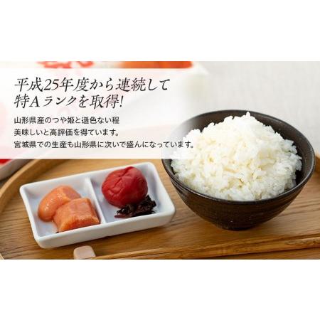 ふるさと納税 令和5年産宮城県登米市産つや姫精米　５kg×２個セット 宮城県登米市