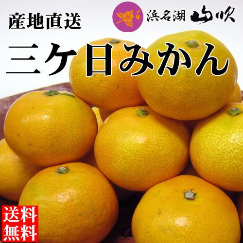 小粒みかん 浜名湖三ケ日みかん 早生 ５kg 送料無料 規格外サイズ