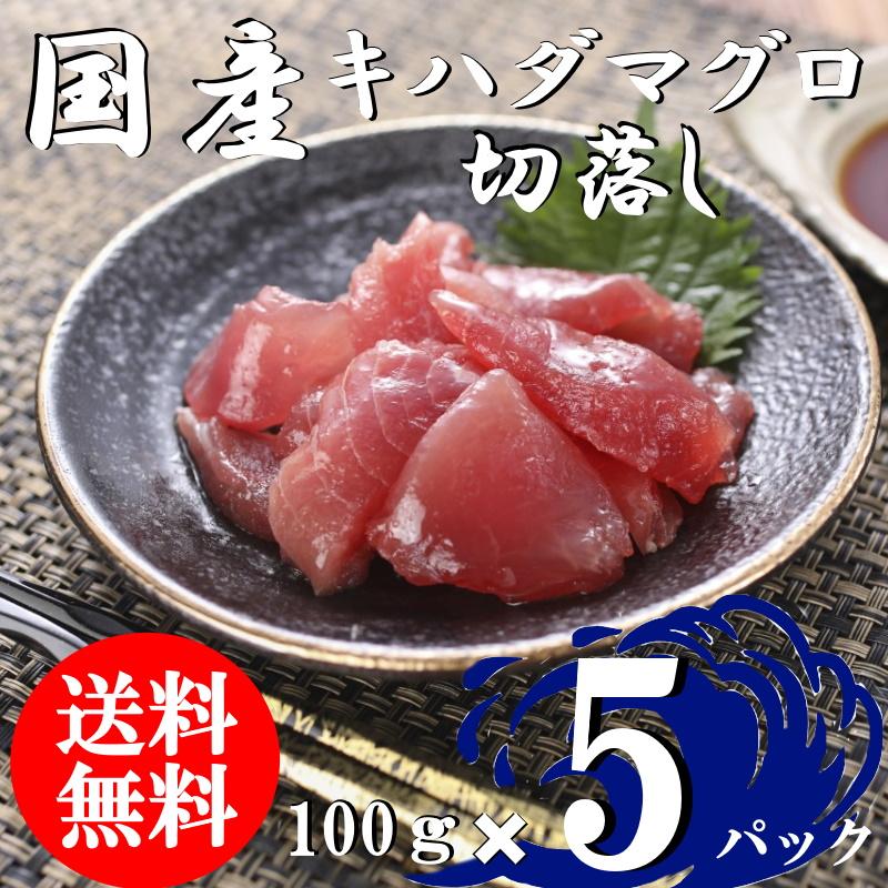 （送料無料）国産マグロ切落し（上）　100ｇ×5パックセット　キハダマグロ　配送不可地域あり　きはだまぐろ　代引き不可