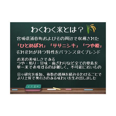 ふるさと納税 宮城県産三大銘柄いいとこ取りブレンド米 わくわく米 5kg×2袋入 計30kg 宮城県涌谷町