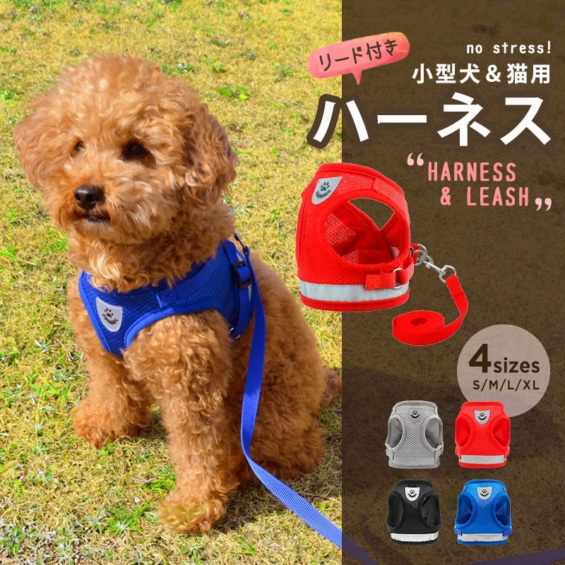 Peruvian Red スペイン製 高級犬用リード(2m) （小型犬 中型犬）