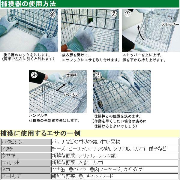 野良猫 捕獲器 両開き M-61