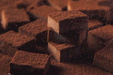 生酮 柑橘橙香生巧克力 奶素  (20入)