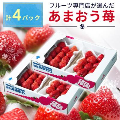 ふるさと納税 大野城市 福岡産あまおう4パック(大野城市)