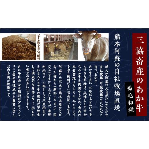 ふるさと納税 熊本県 多良木町 あか牛 バラ 切り落とし 1kg （500g×2） 【 熊本県産 あか牛 牛肉 バラ 大容量 肉 熊本産 国産牛 和牛 赤身 …