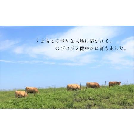 ふるさと納税  肥後の赤牛　焼肉用 500g 熊本県和水町