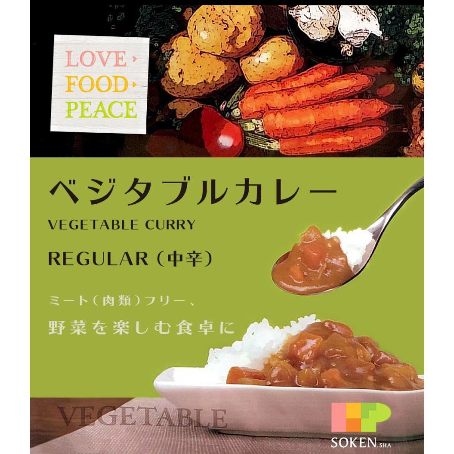 創健社ベジタブルカレー REGULAR 中辛 レトルト 210g×5袋セット