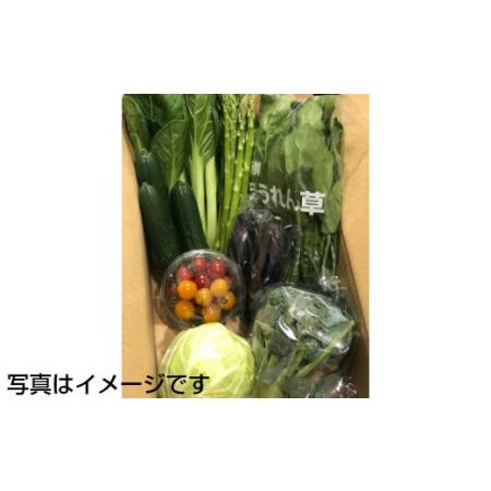 ふるさと納税  イーハトーヴ野菜C  もりもりセット  12〜15品  詰め合わせ 　予約受付2024年3月から発送開始 岩手県花巻市