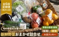 新鮮野菜・加工品 おまかせ詰め合わせ[HAG017]