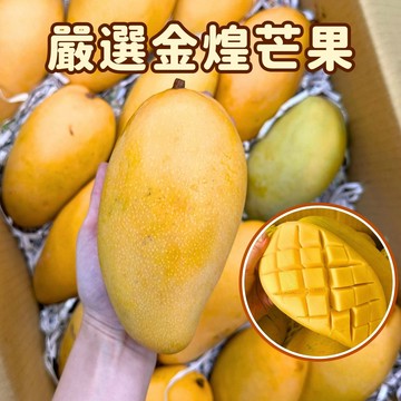 [芯鮮果]台灣嚴選( 金煌芒果 )