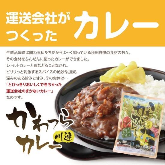 お返し ギフト 無限堂稲庭うどん・かわつらカレーギフトセット ２〜３人前 ご当地うどん カレーうどん 送料無料