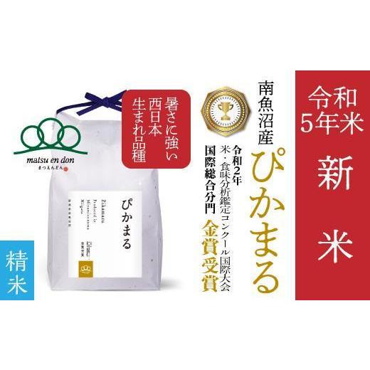 ふるさと納税 新潟県 南魚沼市 新米精米5kg 南魚沼産ぴかまる・国際総合部門金賞受賞_AG