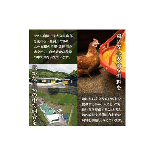 ふるさと納税 大分県 佐伯市 ＜お試し用＞ 平飼い赤鶏のたまご (計10個) 元さん農園