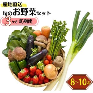 直売所からお届け！旬の野菜セット（8～10品詰め合わせ）新鮮な野菜直送便